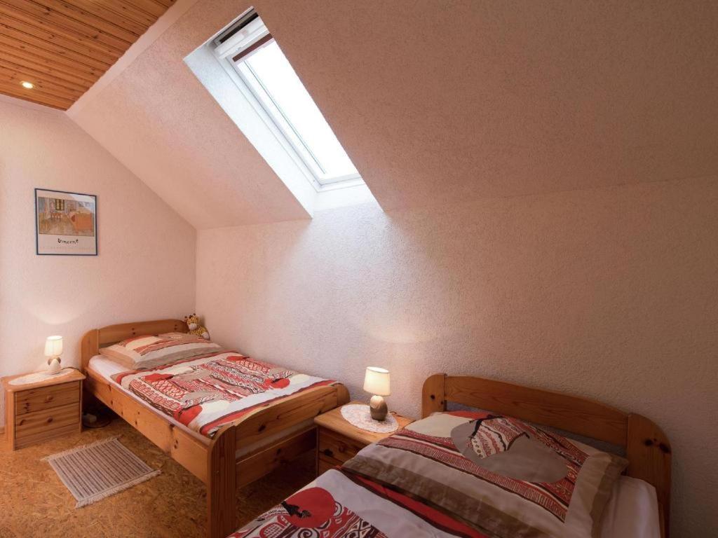 Ferienwohnung Ripa Erzgebirge In Schwarzenberg シュヴァルツェンベルク エクステリア 写真